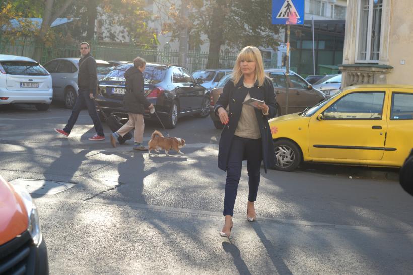 „Ceferista” latifundiară Elena Udrea are pierderi de milioane