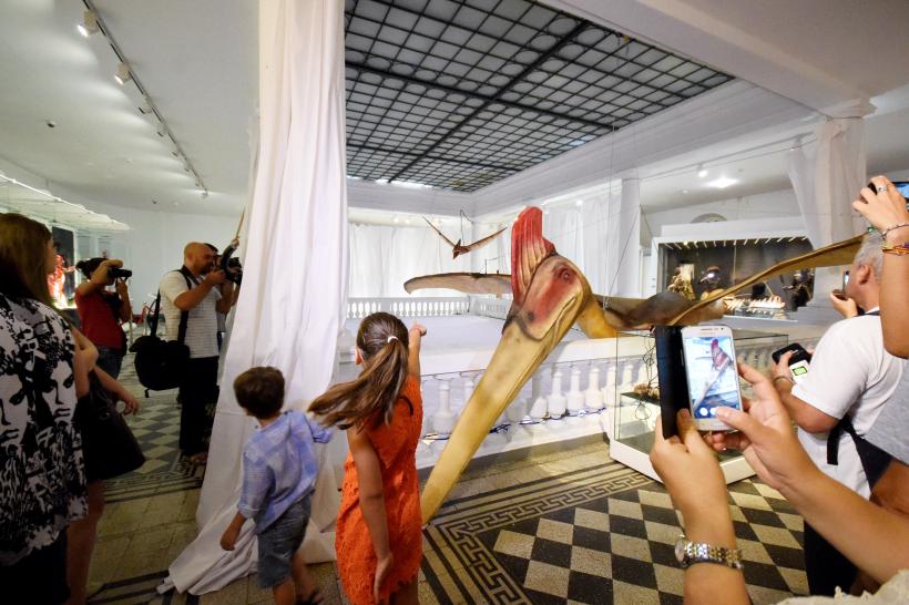 GALERIE FOTO. Cum arată cel mai mare animal zburător din lume 18544410