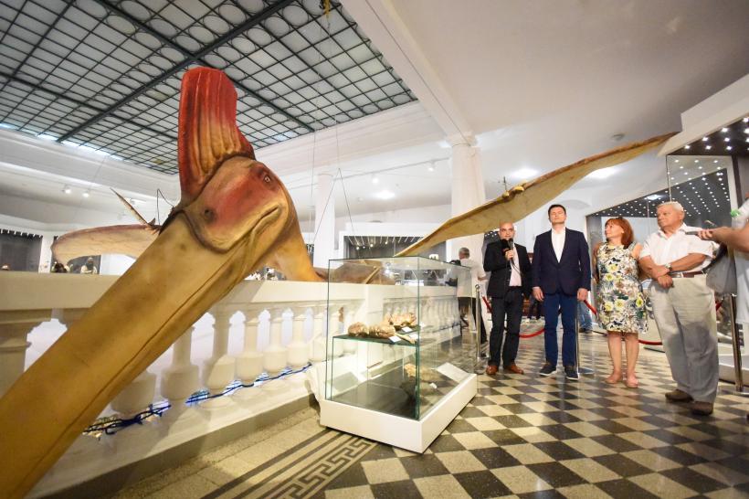 GALERIE FOTO. Cum arată cel mai mare animal zburător din lume 18544412