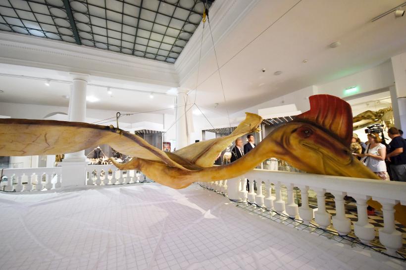 GALERIE FOTO. Cum arată cel mai mare animal zburător din lume 18544414