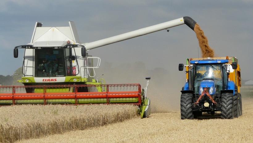 Franţa ar putea importa grâu din România, din cauza recoltei slabe din acest an 
