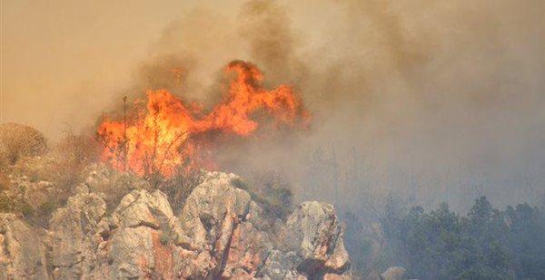 Incendiu de pădure devastator pe insula grecească Evia 