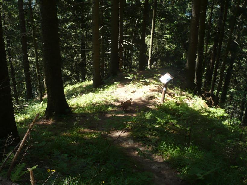 Ziua Muntelui Ceahlău. Curioșii au urcat pe Vârful Toaca pentru a observa “holograma”, un fenomen natural mai puțin obișnuit  18545361