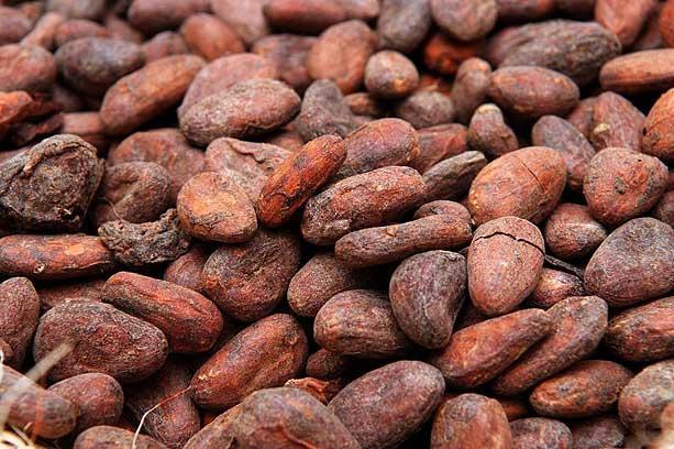 De ce este bine să mâncăm boabe de cacao