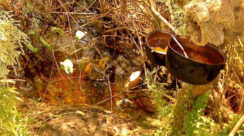 Viață de sclav în România 18546142