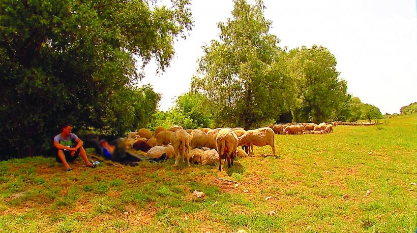 Viață de sclav în România 18546146