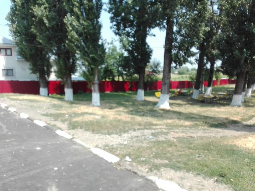 Cum ne batem joc de memoria lui Vasile Alecsandri 18546921