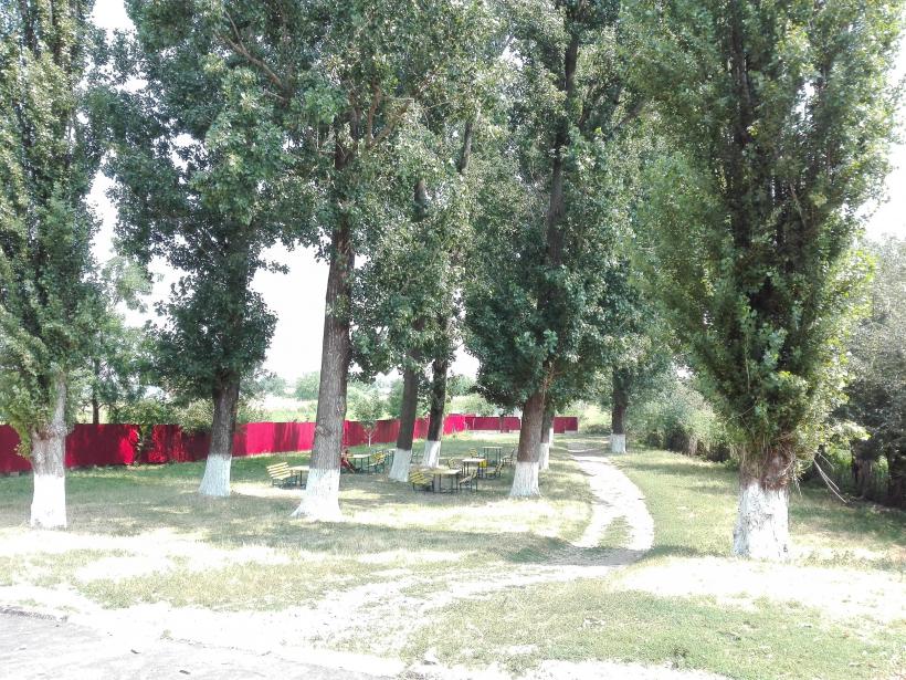 Cum ne batem joc de memoria lui Vasile Alecsandri 18546922