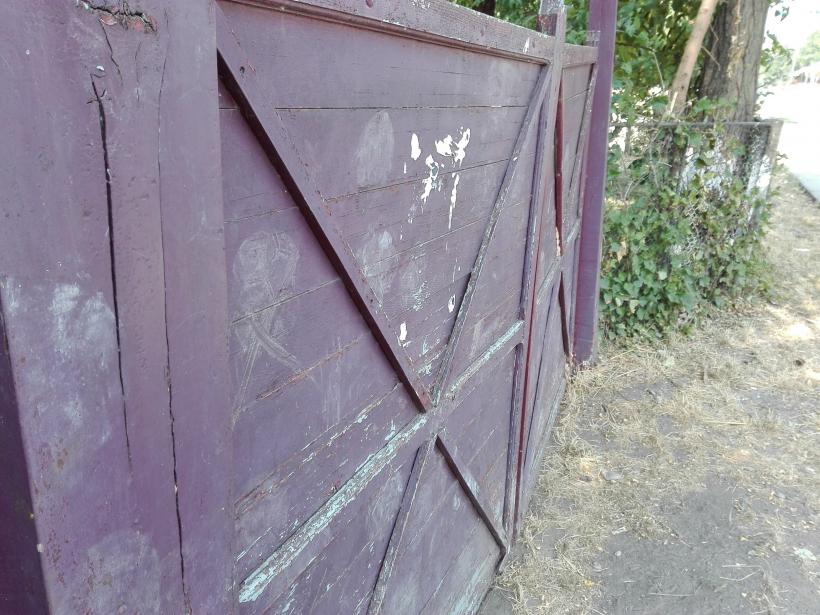 Cum ne batem joc de memoria lui Vasile Alecsandri 18546925