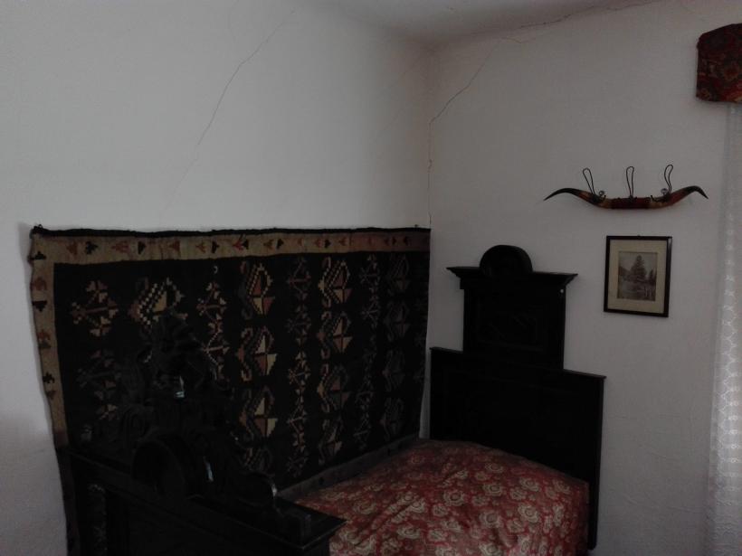 Cum ne batem joc de memoria lui Vasile Alecsandri 18546957