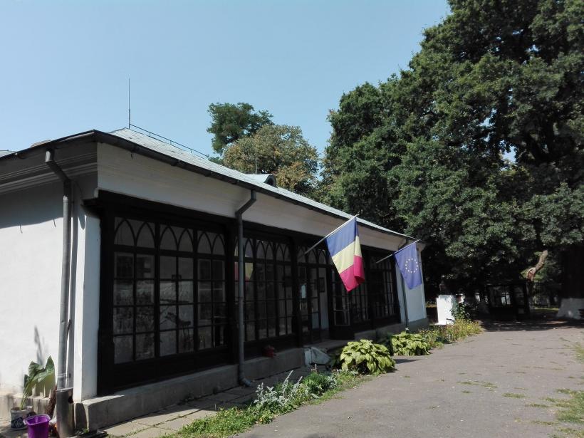 Cum ne batem joc de memoria lui Vasile Alecsandri 18546972