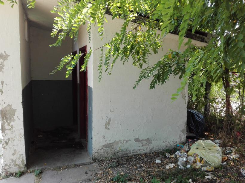 Cum ne batem joc de memoria lui Vasile Alecsandri 18546980