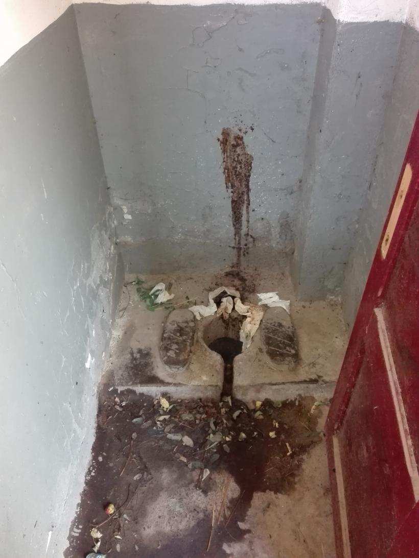 Cum ne batem joc de memoria lui Vasile Alecsandri 18546981