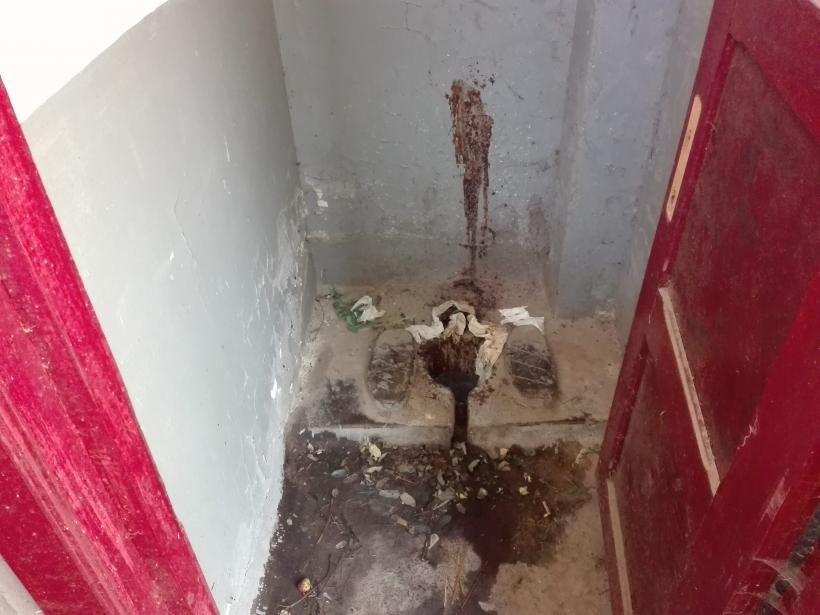 Cum ne batem joc de memoria lui Vasile Alecsandri 18546982