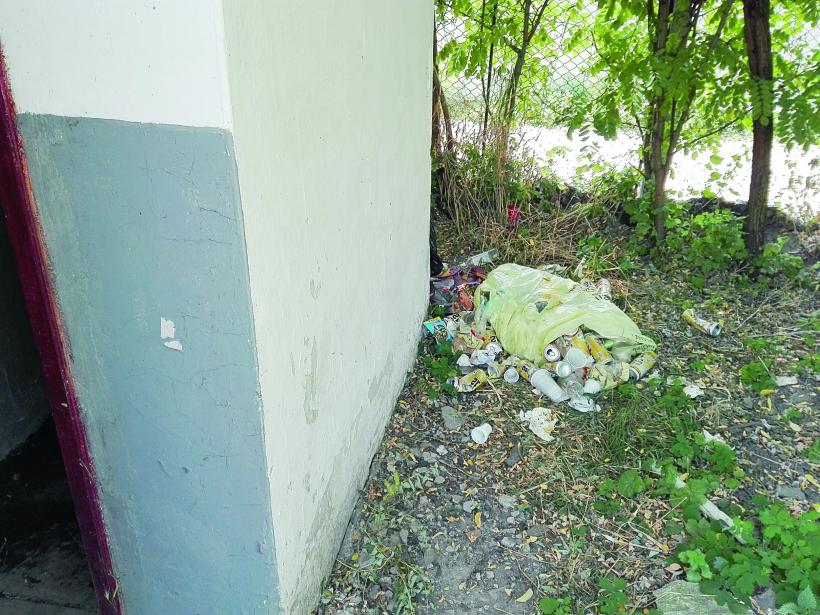 Cum ne batem joc de memoria lui Vasile Alecsandri 18546984