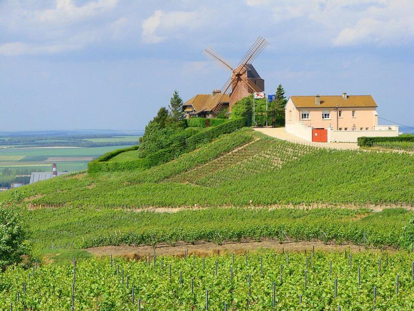 Producția de vin din Franța, afectată de intemperii