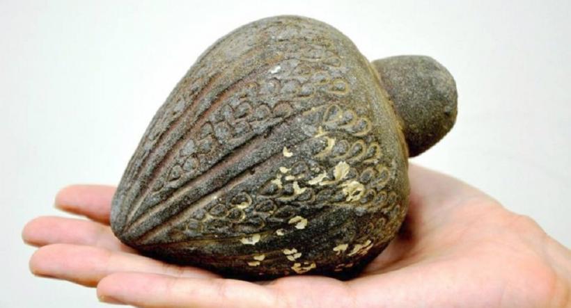 O grenadă veche de 1000 de ani, găsită într-o colecție privată