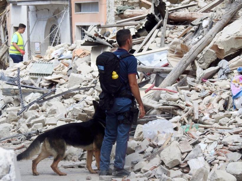 Nou bilanţ provizoriu al cutremurului din Italia: 290 de morţi 