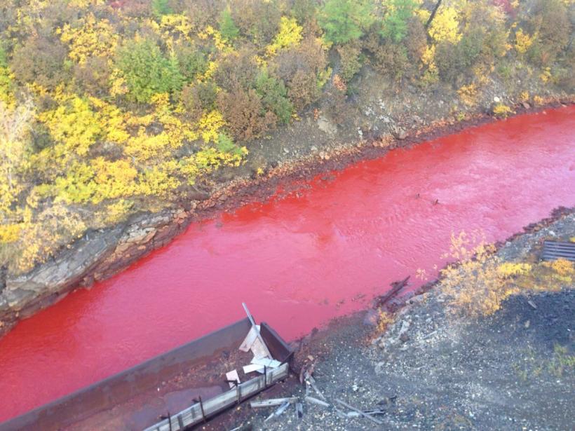 Alertă de poluare în Rusia după ce un un râu a devenit sângeriu, în Siberia