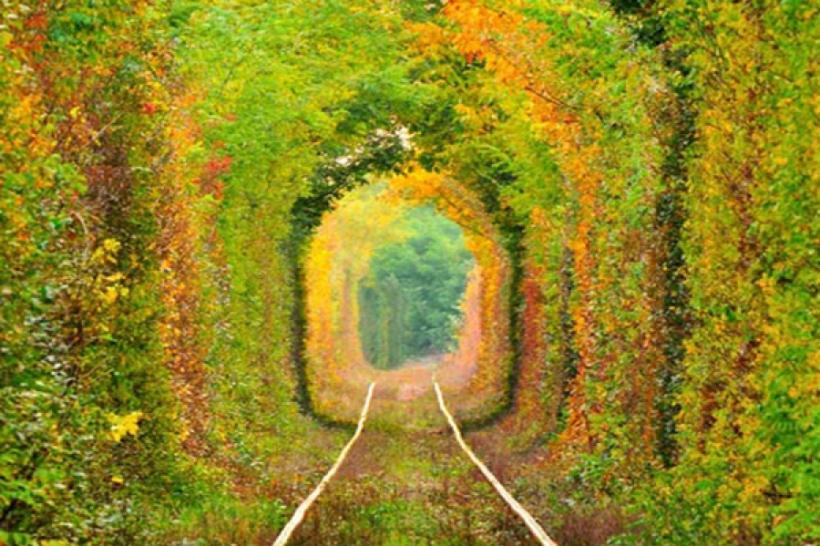 UNIC ÎN ROMÂNIA. &quot;Tunelul dragostei&quot; - spectacolul naturii pe calea ferată (VIDEO)