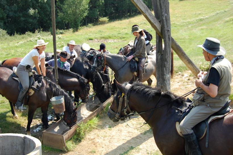 Excursii pe cal prin munții României. Descoperă România în şa