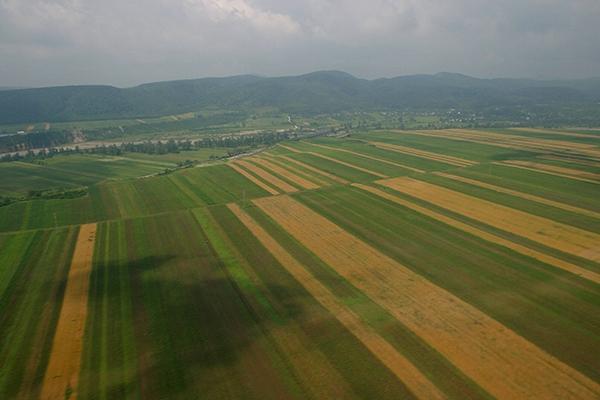 Vânzarea terenurilor agricole către străini, un proiect prin care România își înstrăinează un sfert din suprafața arabilă