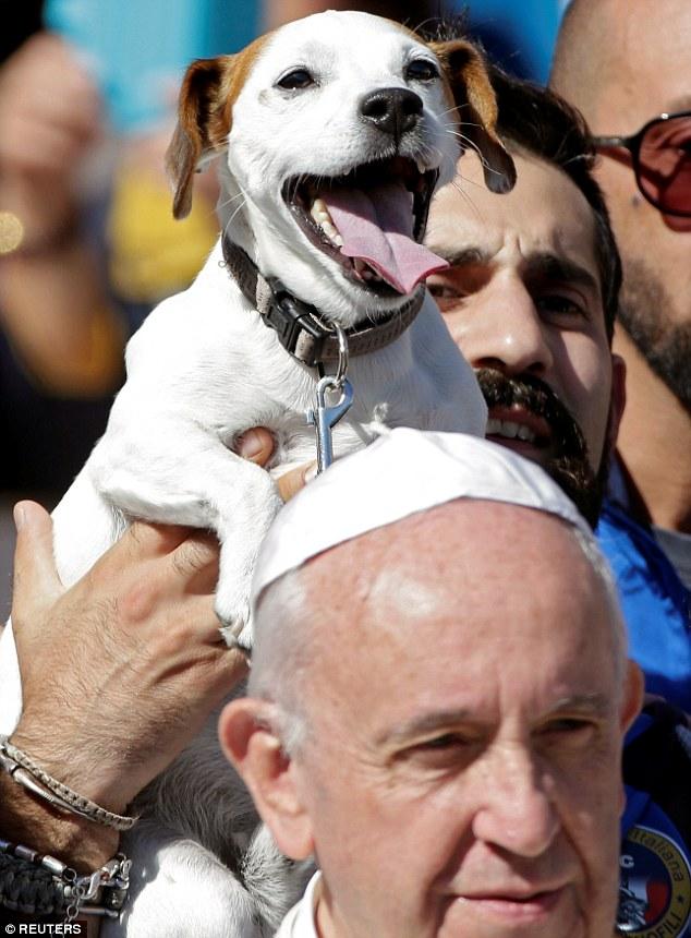 Papa Francisc, fotografiat lângă un căţel zâmbitor. Imaginea a devenit virală