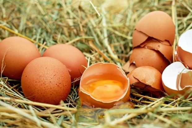 Alertă de Salmonella in Covasna! Peste 10.000 de ouă, retrase de pe piaţă 