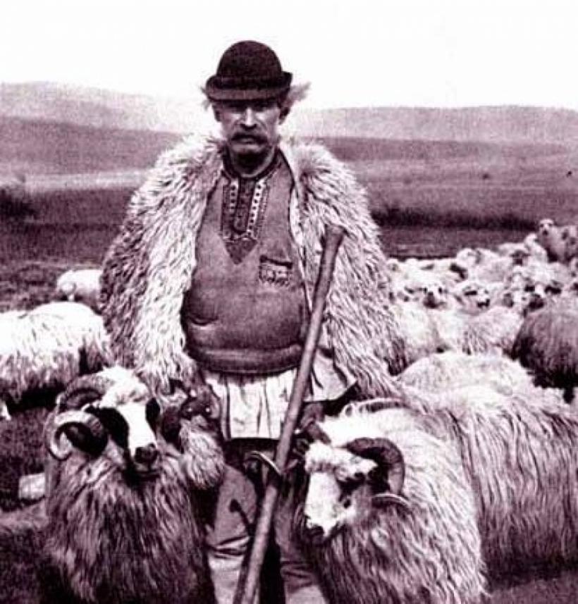 Sânmedru, patronul păstorilor și începutul iernii