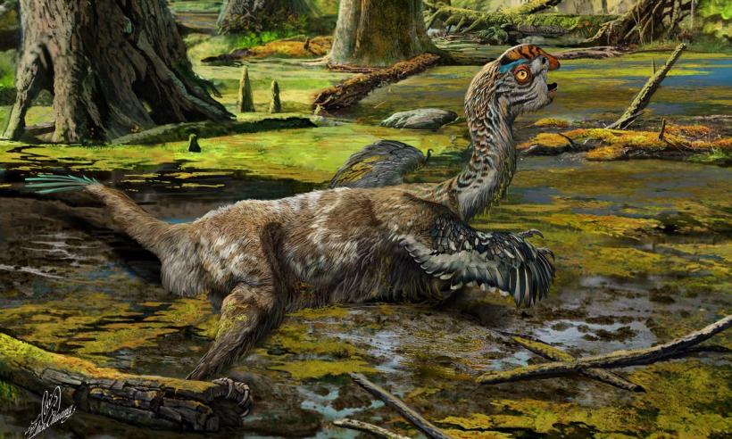 Fosila unei specii de dinozaur necunoscută până acum, la un pas de a fi dinamitată, după 72 de milioane de ani