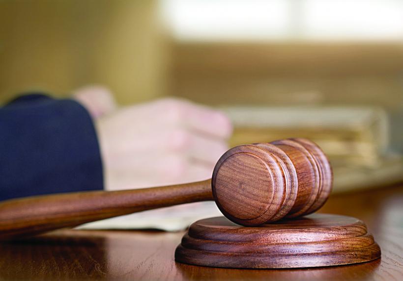 Misterele din dosarul moşiei lui Băsescu 18556318