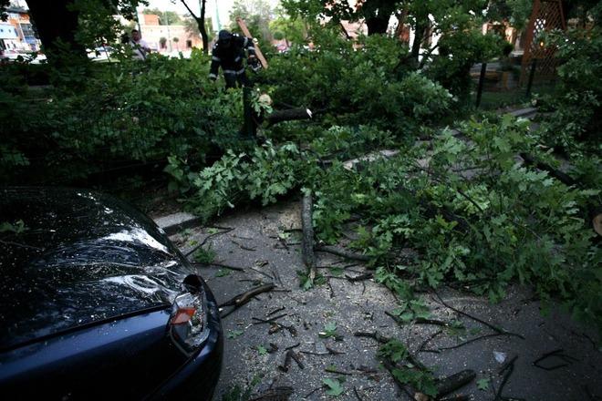 ISU București: 37 de intervenţii pentru îndepărtarea copacilor căzuţi pe autoturisme sau pe carosabil