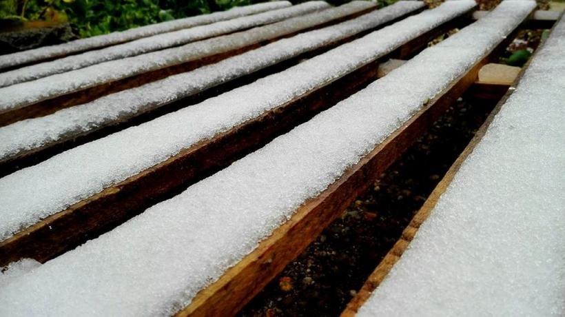 Nu mai ninge doar la munte! Prima ninsoare în Timiș 18556642