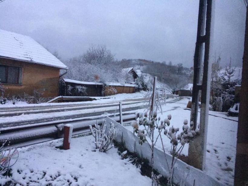 Nu mai ninge doar la munte! Prima ninsoare în Timiș 18556643