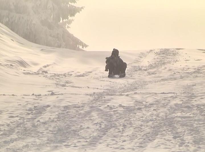 WEBCAM. In curand, se va putea schia si in statiunea Păltiniş! VEZI IMAGINI LIVE 18557372