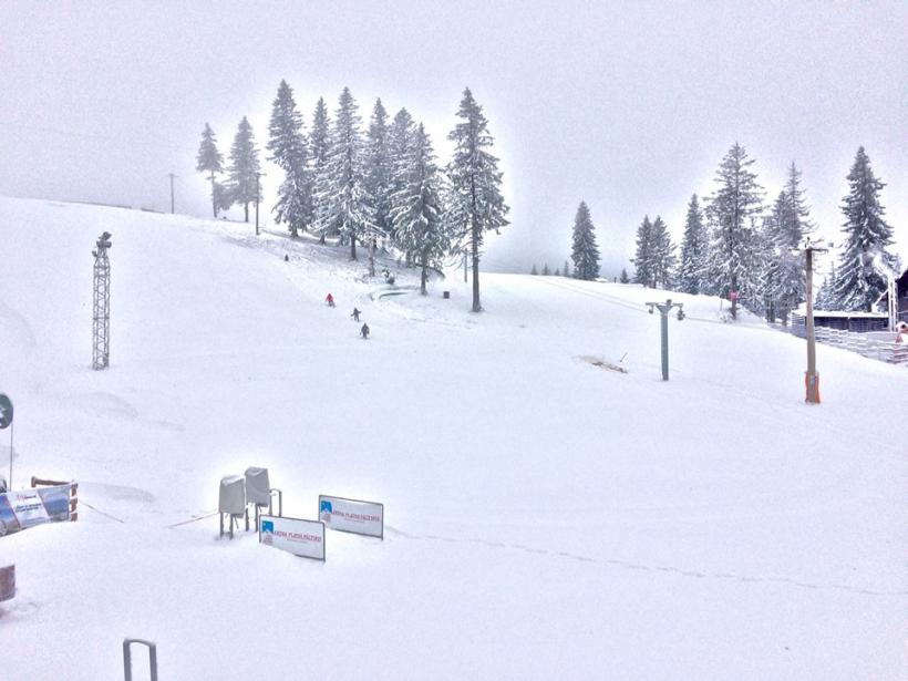 WEBCAM. In curand, se va putea schia si in statiunea Păltiniş! VEZI IMAGINI LIVE 18557381