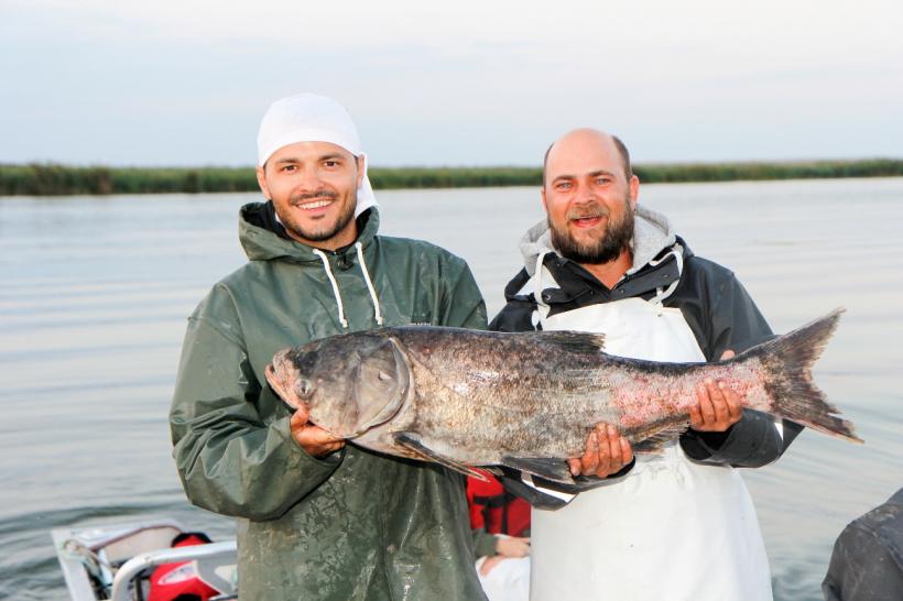 Cosmin Seleși era să se înece în Dunăre! Nu rata prima ediție a emisiunii ”Poftiți la muncă” 18557429