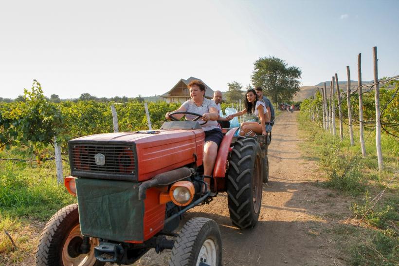 Cosmin Seleși era să se înece în Dunăre! Nu rata prima ediție a emisiunii ”Poftiți la muncă” 18557434