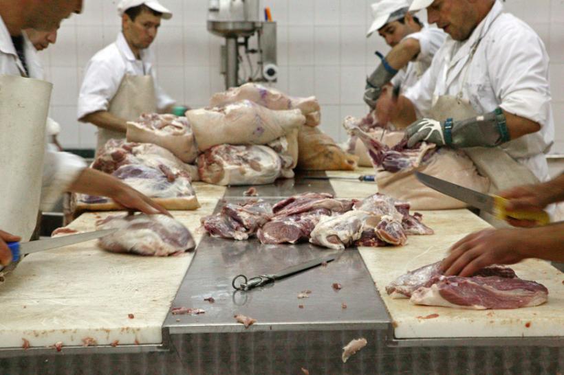 Carne de vită cu E.coli, depistată la un fast-food din municipiul Târgu-Jiu