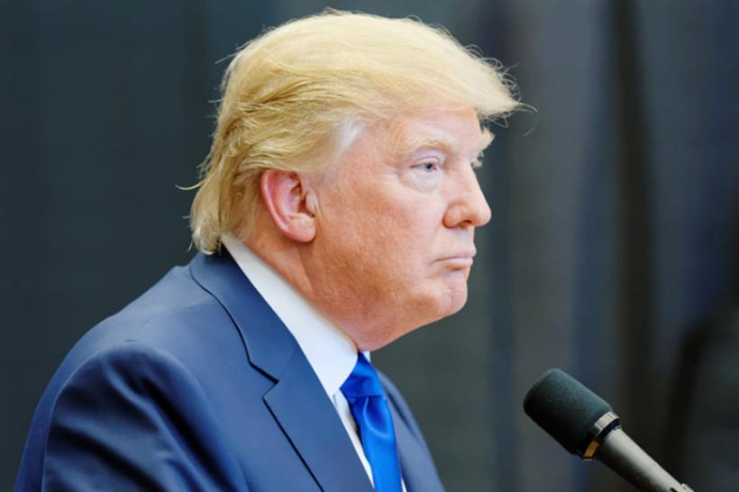 FOTO - Un fazan auriu face furori în China din cauza asemănării sale cu Trump