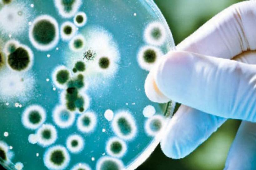 Sfatul medicului. 5 lucruri pe care nu le ştiaţi despre lumea nevăzută a microbilor