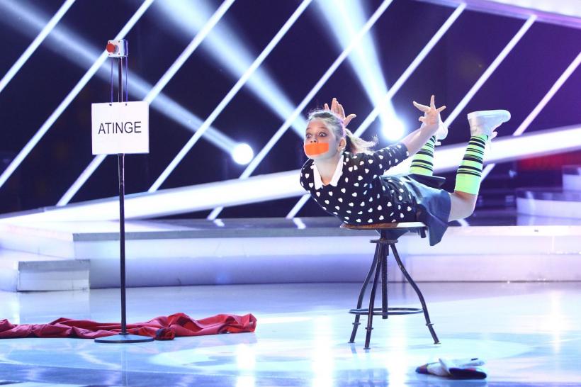 Next Star. O lamă, animalul de companie al unei concurente  18557959