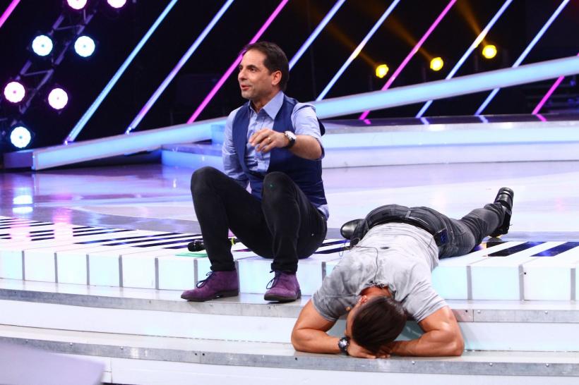 Next Star. O lamă, animalul de companie al unei concurente  18557984