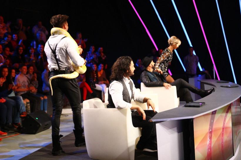 Finala de Popularitate „Next Star”: acrobații și pantomimă,  teatru de umbre, gimnastică ritmică și gastronomie 18559634