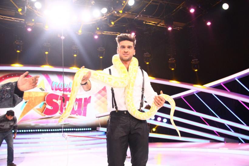 Finala de Popularitate „Next Star”: acrobații și pantomimă,  teatru de umbre, gimnastică ritmică și gastronomie 18559635