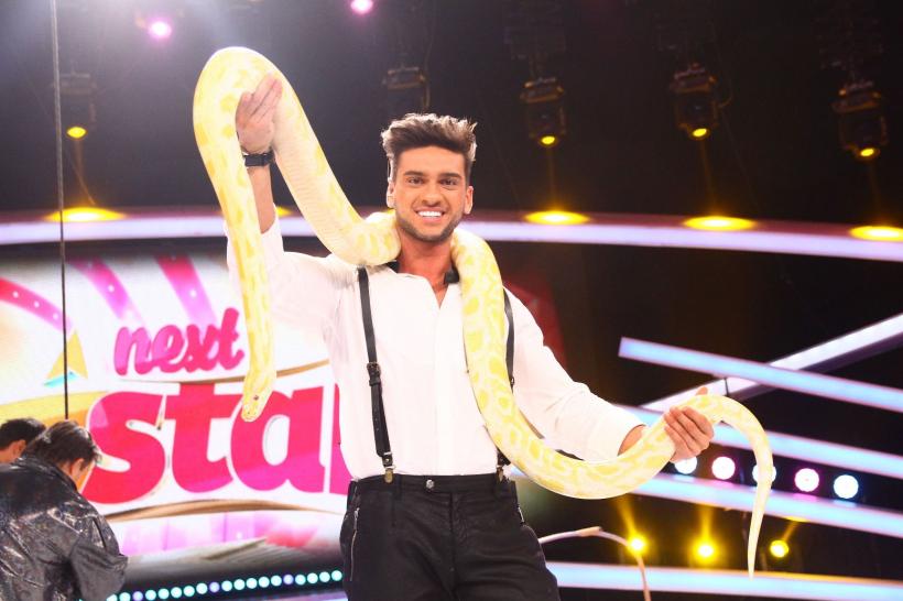 Finala de Popularitate „Next Star”: acrobații și pantomimă,  teatru de umbre, gimnastică ritmică și gastronomie 18559637
