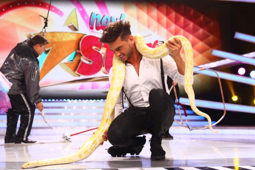 Finala de Popularitate „Next Star”: acrobații și pantomimă,  teatru de umbre, gimnastică ritmică și gastronomie 18559638