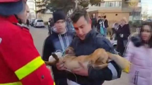 Argeş: Bărbat rănit grav într-un incendiu; un căţel scos din flăcări a fost resuscitat de un pompier