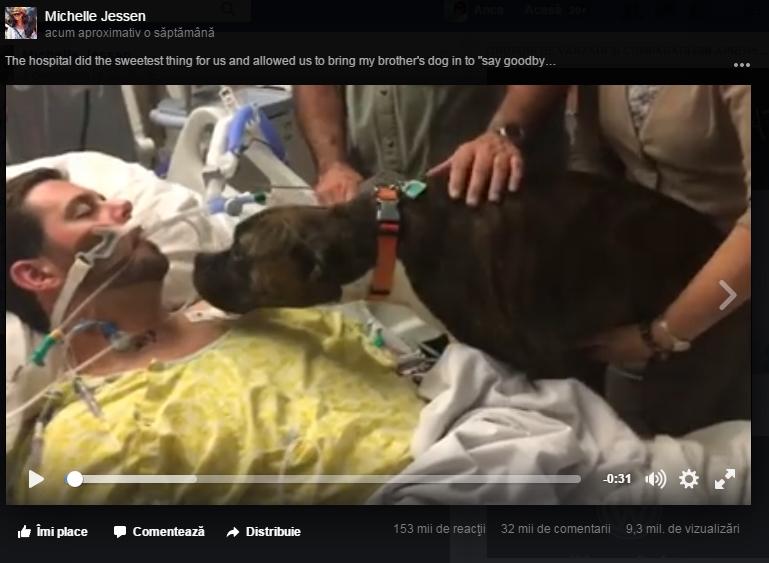 IMAGINI EMOŢIONANTE! Un câine a fost la spital să-şi ia rămas-bun de la stăpânul muribund