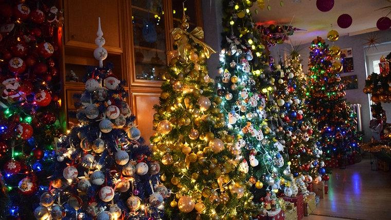 Un cuplu german şi-a decorat casa cu peste 100 de brazi de Crăciun